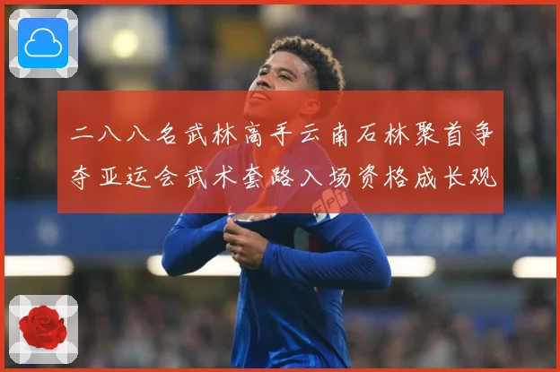 二八八名武林高手云南石林聚首争夺亚运会武术套路入场资格成长观察：最新赛事动态与深度分析