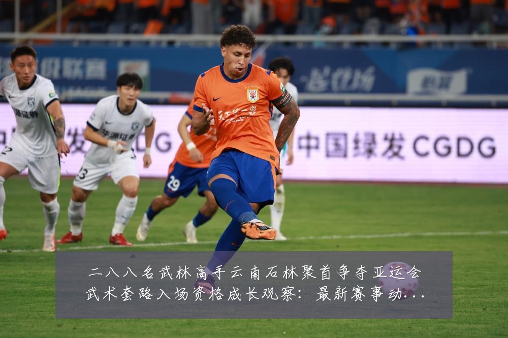 二八八名武林高手云南石林聚首争夺亚运会武术套路入场资格成长观察：最新赛事动态与深度分析