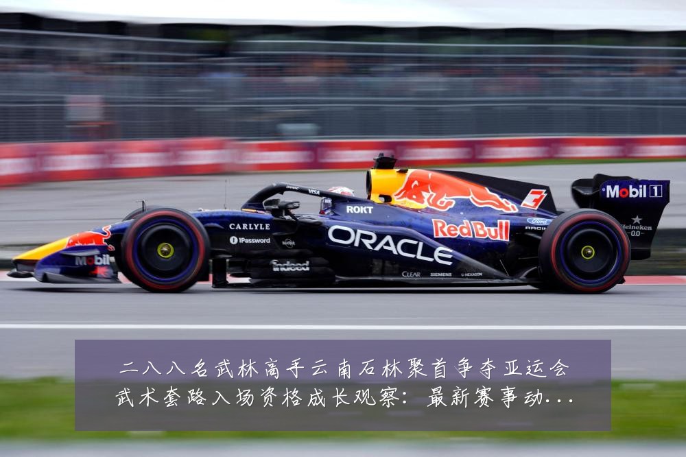 二八八名武林高手云南石林聚首争夺亚运会武术套路入场资格成长观察:最新赛事动态与深度分析